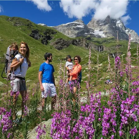 In Near Area * Анте-Сент-Андре