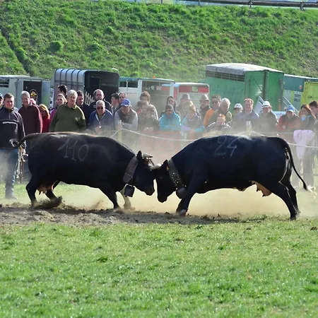 In Near Area 아파트