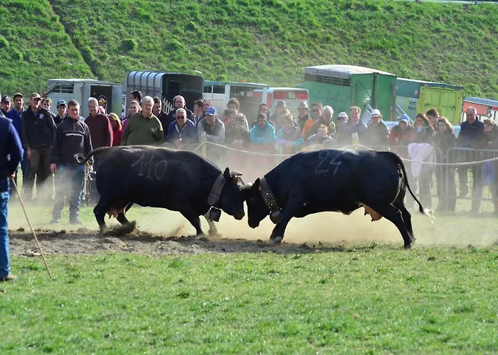 In Near Area Apartman